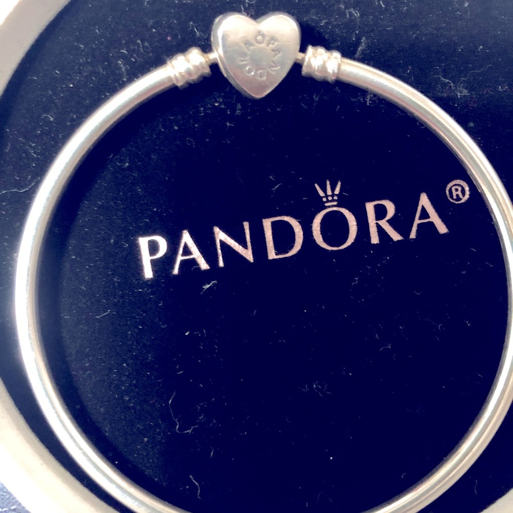 Pandora Moments Bangle Bracelet